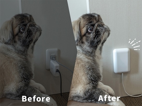 �y�b�g�Ɖ߂�����Ԃ�