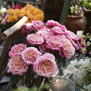 ���w�i�m�R�[�e�B���O