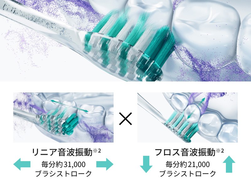 W���g�U����3�ŁA���Ԃ܂ŋ����̎��C�����́B