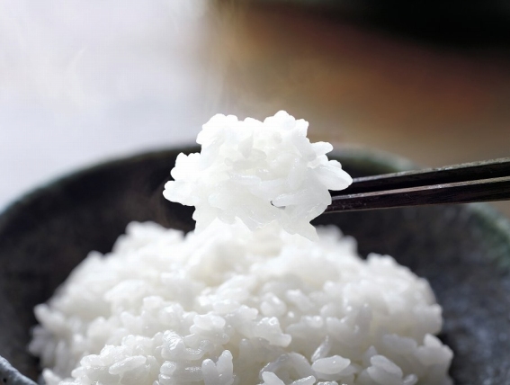 �I�ׂ�ۉ��I���B40���Ԃ��������ۉ��ł���u�ɂߕۉ��v