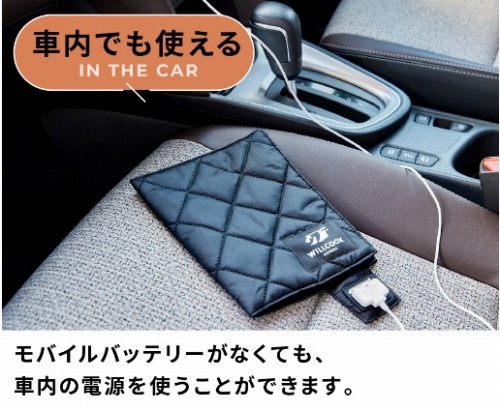 �ԓ��ł��g����