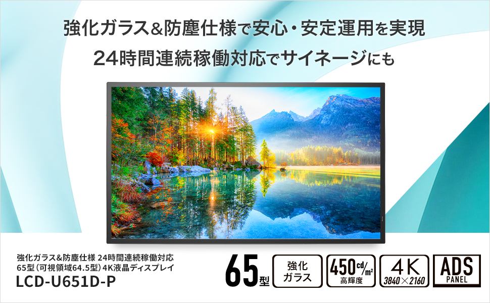 65�^�t���f�B�X�v���C�@LCDU651DP