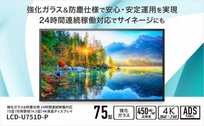 65�^�t���f�B�X�v���C�@LCDU751DP