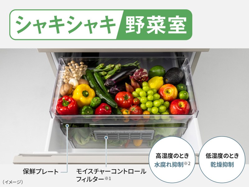 ��؂̑N�x��ۂV���L�V���L��؎�