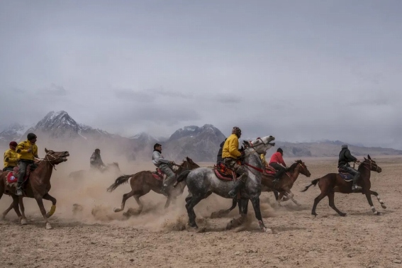 ���������xAF