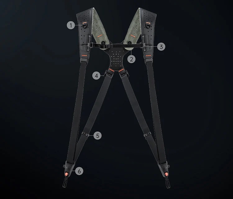 ���ׂẴf�B�e�[���ɁA�Ӗ�������