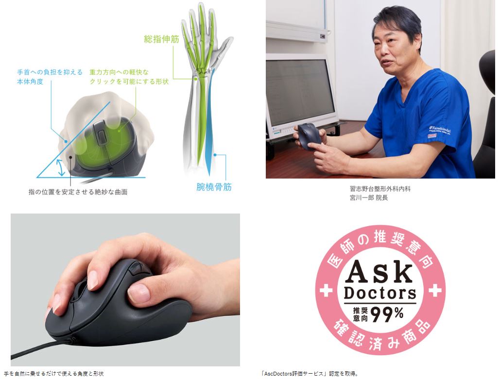 �K�u��䐮�`�O�ȓ��� �{���Y�@��