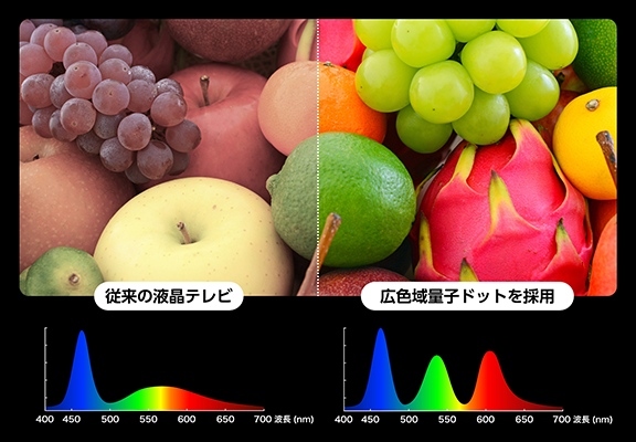 �L�F��ʎq�h�b�g