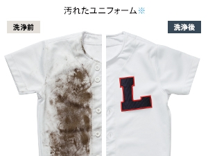 �K���R�ȃh������E���Y�~�Ɂu�ɂߐ􂢃R�[�X�v