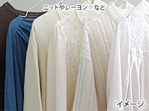 ������ꒅ�Ɂu�z�[���N���[�j���O�R�[�X�v