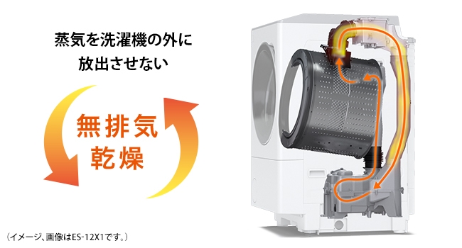 �T�j�^���[��Ԃ����K�ȁA���r�C��������