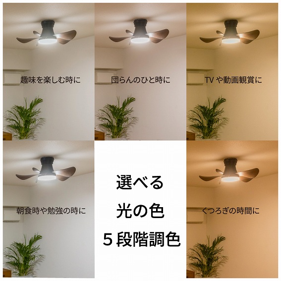 �z�^���N�X LED�V�[�����O�t�@�� HotaluX WING XZF06433KRCSG ���i����02