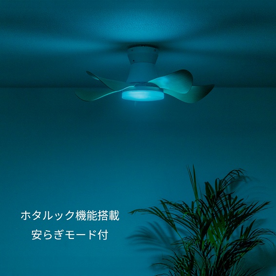 �z�^���N�X LED�V�[�����O�t�@�� HotaluX WING XZF06433KRCSG ���i����05