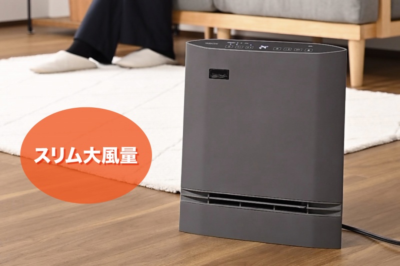 �啗�ʃ��f��