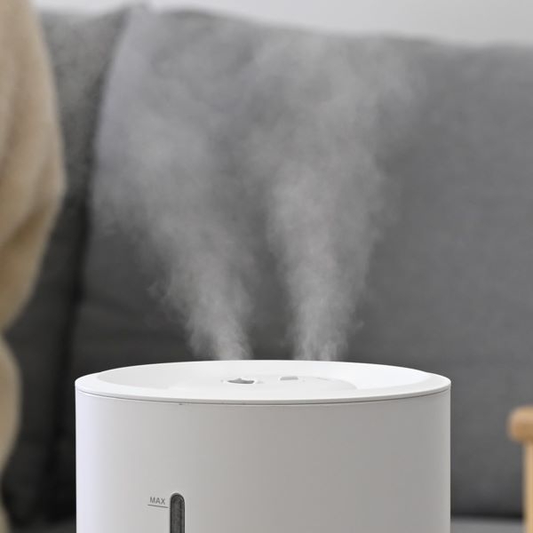 �c�C���m�Y��