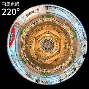 220&deg;�̎���p�Ɖ~������Ȃ�ł͂̕`��