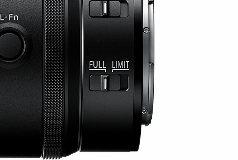 �B�e�̌������コ����G���S�m�~�N�X