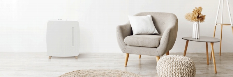 �Ƌ�̂悤�ɃC���e���A�Ƃ��Ċy����