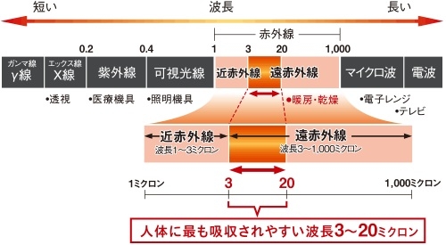 �l�̂ɋz������₷�����ԊO���������Ղ���o