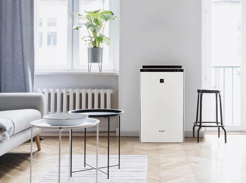 �����������\�ł����Ղ肤�邨���B�v���Y�}�N���X�^�[NEXT���ڃn�C�O���[�h���f��