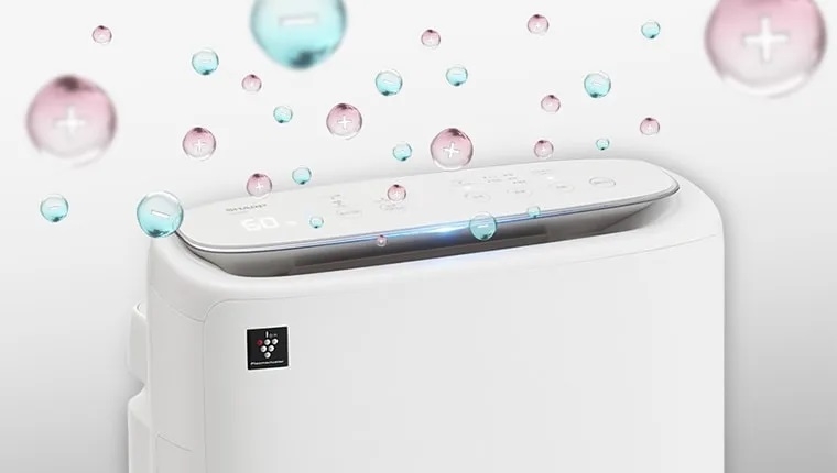 �v���Y�}�N���X�^�[