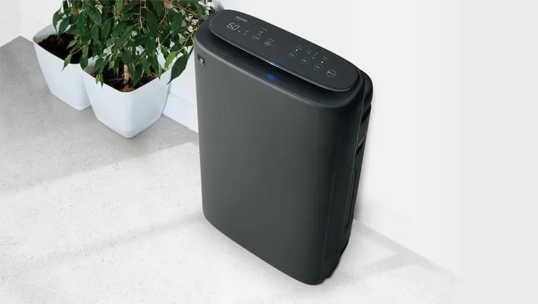 ���^�X�����{�f�B