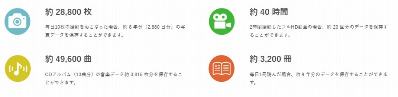 �ۑ��ł���e��f�[�^�̖ڈ� (256GB�̏ꍇ)