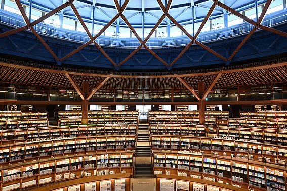 �V�����̃f�B�e�[�� �\ �s�N�Z���V�t�g�B�e�yNEW�z