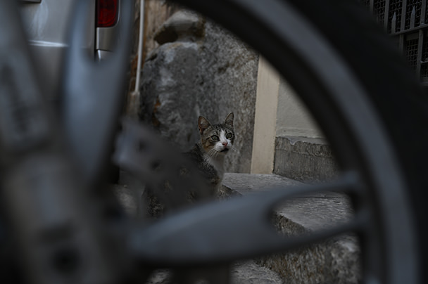 �u�L�v�̍��