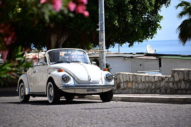 �u��蕨�v�̍��