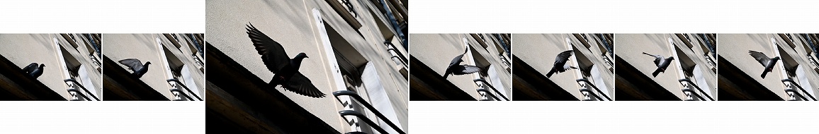 ����I�u�Ԃ𑨂��鍂���A�ʐ��\