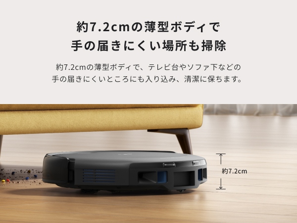 ���^�{�f�B