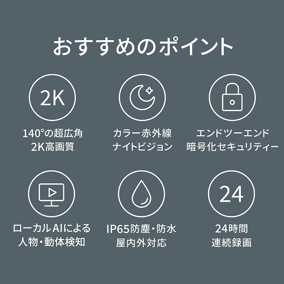 �������߂̃|�C���g