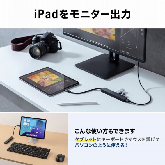 iPad�����j�^�[�o��