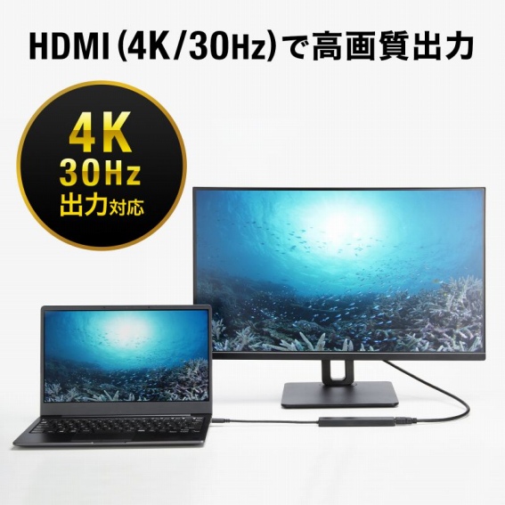 HDMI�ō��掿�o��
