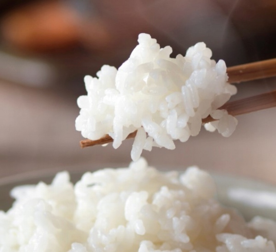 ���������E�������E����ɂ߂��u�ɏ��i�������傤�j�ꍇ�v�R�[�X