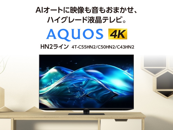 AI�I�[�g�ɉf�����������܂����A�n�C�O���[�g�t���e���r�B