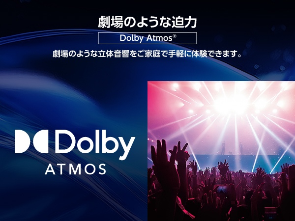 ����̂悤�Ȕ���