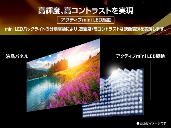 ���P�x�A���R���g���X�g������