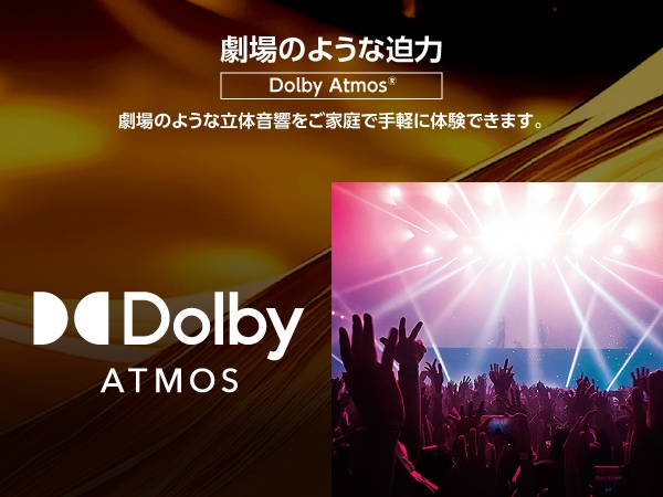 ����̂悤�Ȕ���