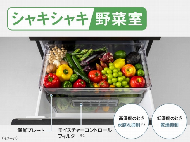 ��؂̑N�x��ۂV���L�V���L��؎�