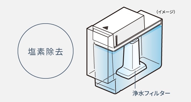 �������X 