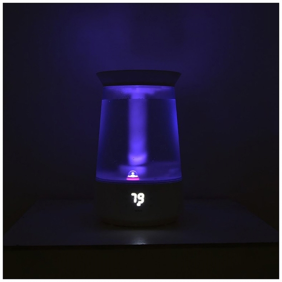 �C���~�l�[�V������