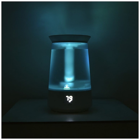 �C���~�l�[�V�������F