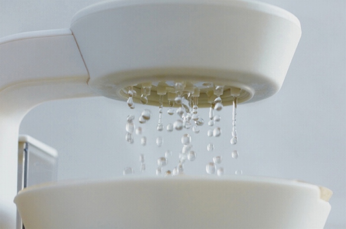 �u���C���h���b�v�v�Ŋy���߂郀���̂Ȃ����킢�ƃR�[�q�[�̃A���}