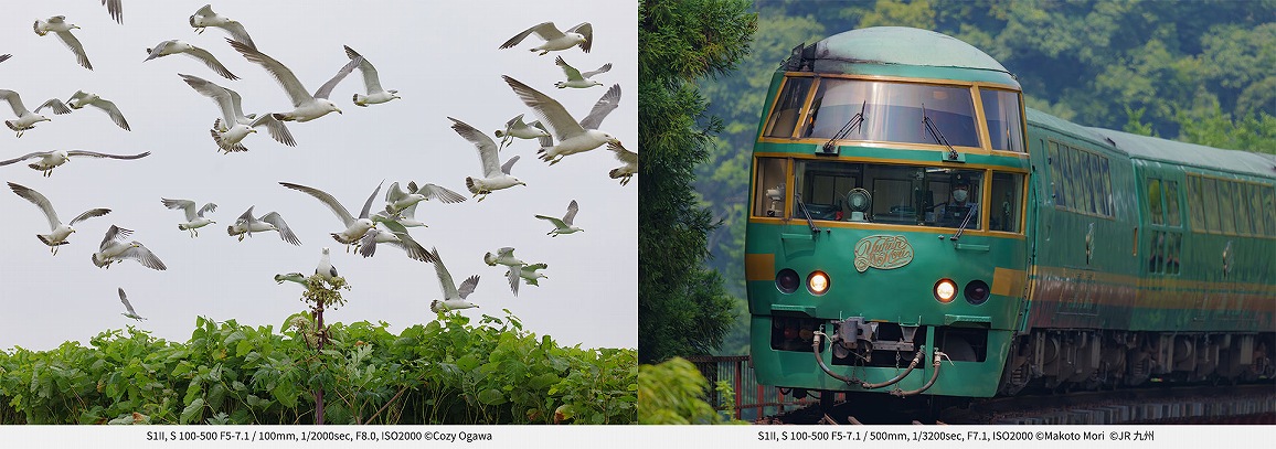 �����̃f�B�e�[���܂ł������葨����100-500mm���]���Y�[�������Y