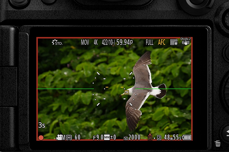 �f����i����ɍœK�ȓ��搫�\