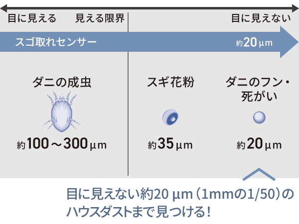 ���ׂȃn�E�X�_�X�g�܂Ō��m