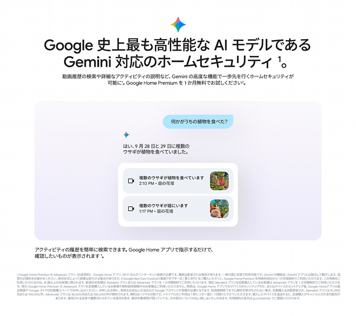Google�j��ł������\��AI���f���ł���