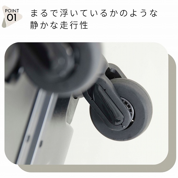 �܂�ŕ����Ă��邩�̂悤�ȐÂ��ȑ��s��